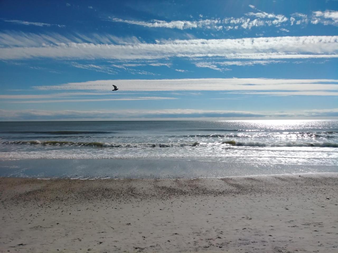 Palms Resort Myrtle Beach Kültér fotó